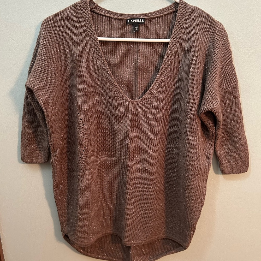 Express Women's V-Neck Sweater in Brown